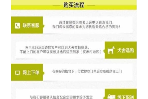 顶级优秀的纯种美国恶霸犬热销中质保协议疫苗驱虫齐全